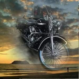 Meet your Posher, Will